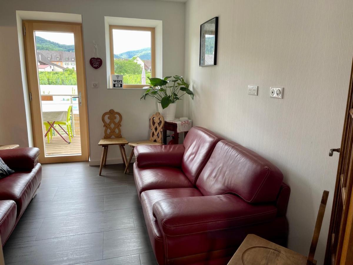 אמרשוויר Alsacebnb - Gite 12 Personnes Dans Le Vignoble - Piscine Privee & Spa מראה חיצוני תמונה
